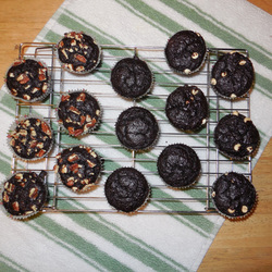 GLUTEN FREE Chocolate Cupcakes (Quinoa Based)